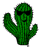 Kumah Cactus